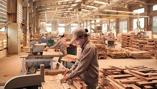 Dịch COVID - 19 giúp doanh nghiệp ngành gỗ trưởng thành hơn